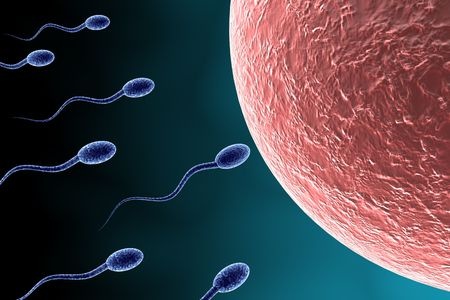 Scientific Breakthrough Could Lead to Unisex Contraceptives