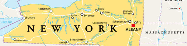 favorite_borderfilter_none New York State (NYS), political map, with capital Albany, borders, important cities, rivers and lakes. State in the Northeastern United States of America. English labeling. Illustration. Vector.
